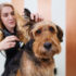 A Useful Token For Our Four-Legged BFFs – Dogster