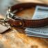How to Choose Dog Food for Kidney Health – The Dogington Post