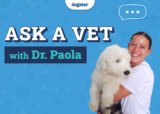 Monday April 7, 2025 – Dogster