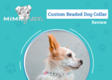 A Useful Token For Our Four-Legged BFFs – Dogster