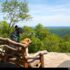Top Dog Friendly Things To Do In New England