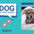 Life with Kodah the Shadow – Dogster