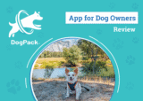 The Ultimate Tool for Fido’s Adventures – Dogster