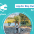 A First-Class Ride for Four-Legged Travelers – Dogster