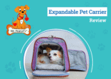 A First-Class Ride for Four-Legged Travelers – Dogster