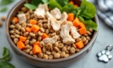 A New Approach to Dog Health? โ The Dogington Post