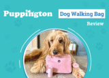 Walk Your Furry Friend in Style – Dogster