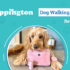 Dogster Photo Contest: Dogs of the Week Winners (April 10, 2025)